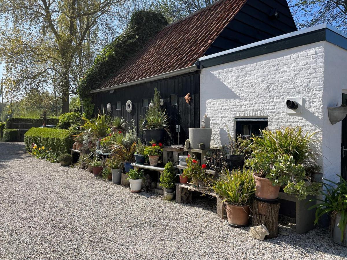 Vakantieoord "De Peppelhoeve" Koudekerke Esterno foto
